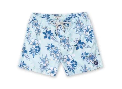 Mens Volley Swim Shorts